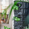 Kräutertrockner WeDryer S1 (30 cm) – Kompletter Pflanzentrockner