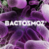 Bactosmoz 40g