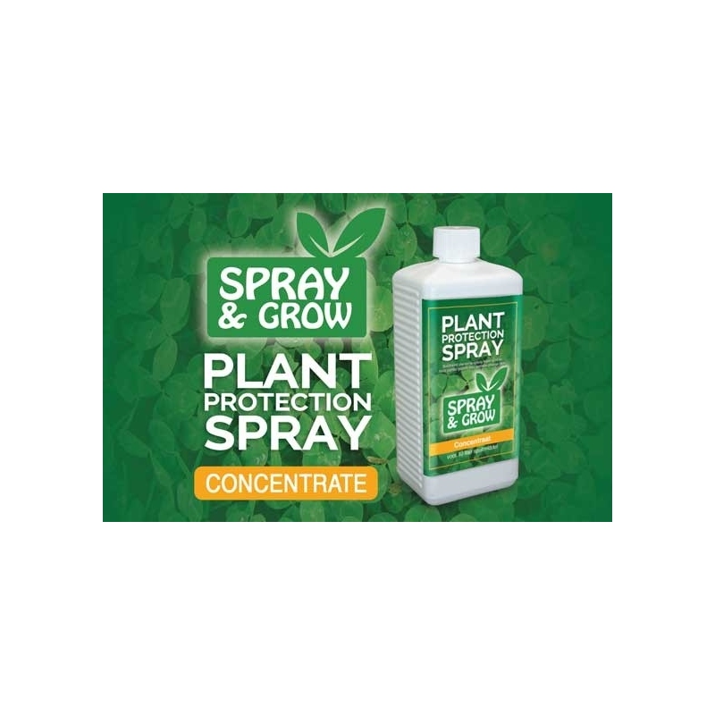 Plant Protection Spray 500ml Concentré
