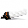 Pro Star - CFL 250W (Bloeien)