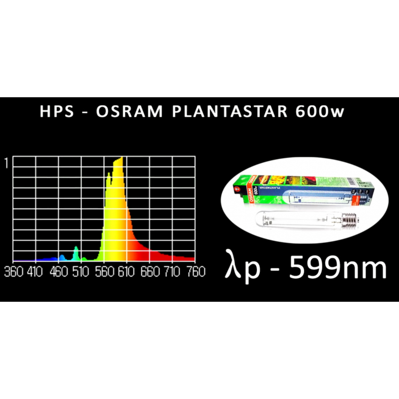 Osram Plantastar 600w HPS
