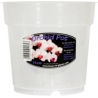 Clear Orchid Pots 15cm / 1.6 lt Orchid Focus