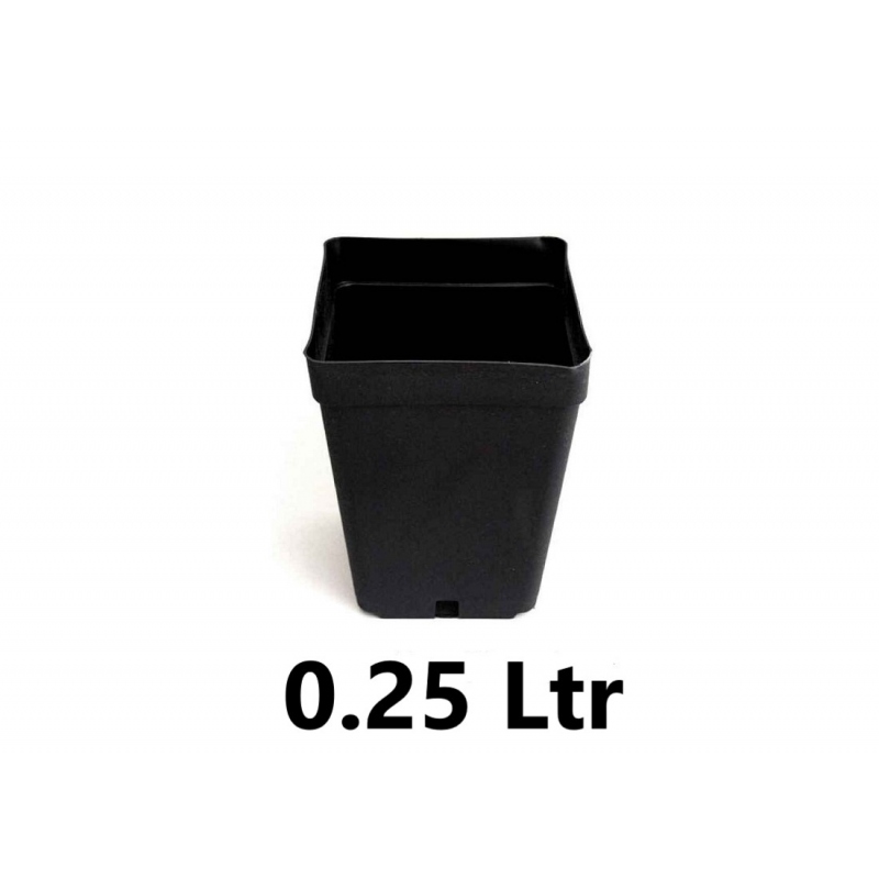 Vierkante pot 7x7x8cm (0,25ltr)
