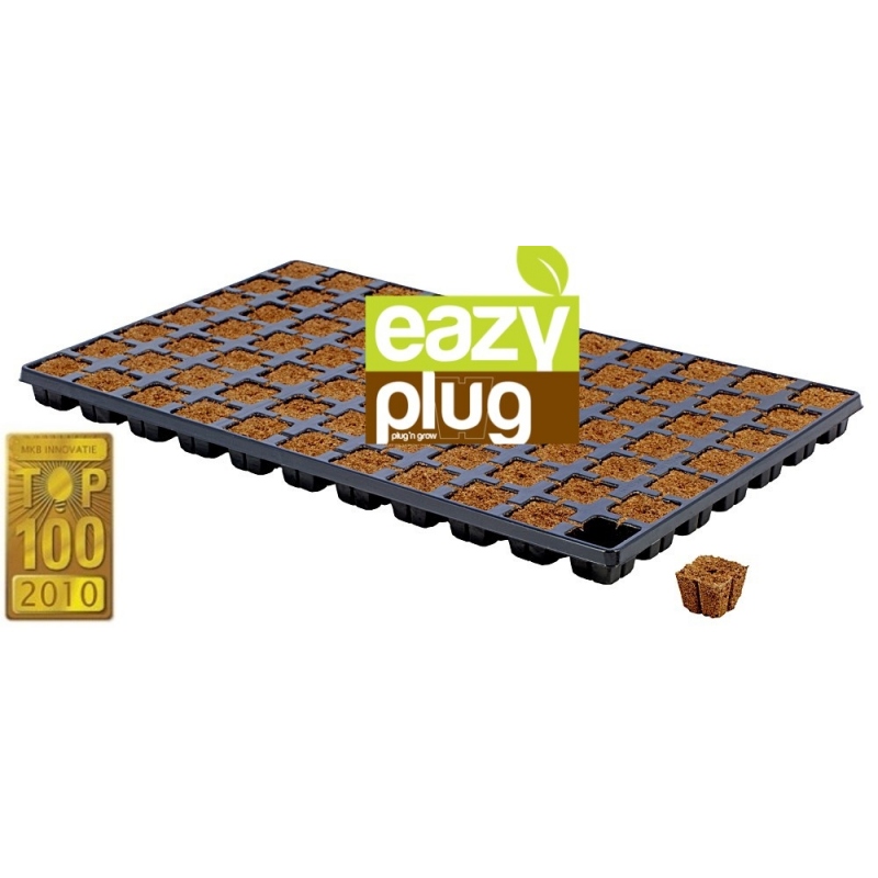 Eazy Plug 77st