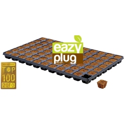 Eazy Plug 77pcs