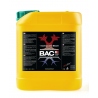 1 Komponente Bloom 5ltr - BAC