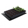 Root!T - Heizmatte 35x25cm (11W)