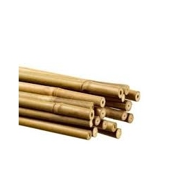Bamboo 90 cm pack de 25 pc