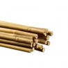 Bamboo 90 cm pack de 25 pc
