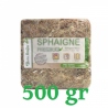 Chilenisches Sphagnum 500g Premium-Qualität (Gartenlösung)