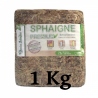 Chilenisches Sphagnum 1 kg Premiumqualität (Gartenlösung)