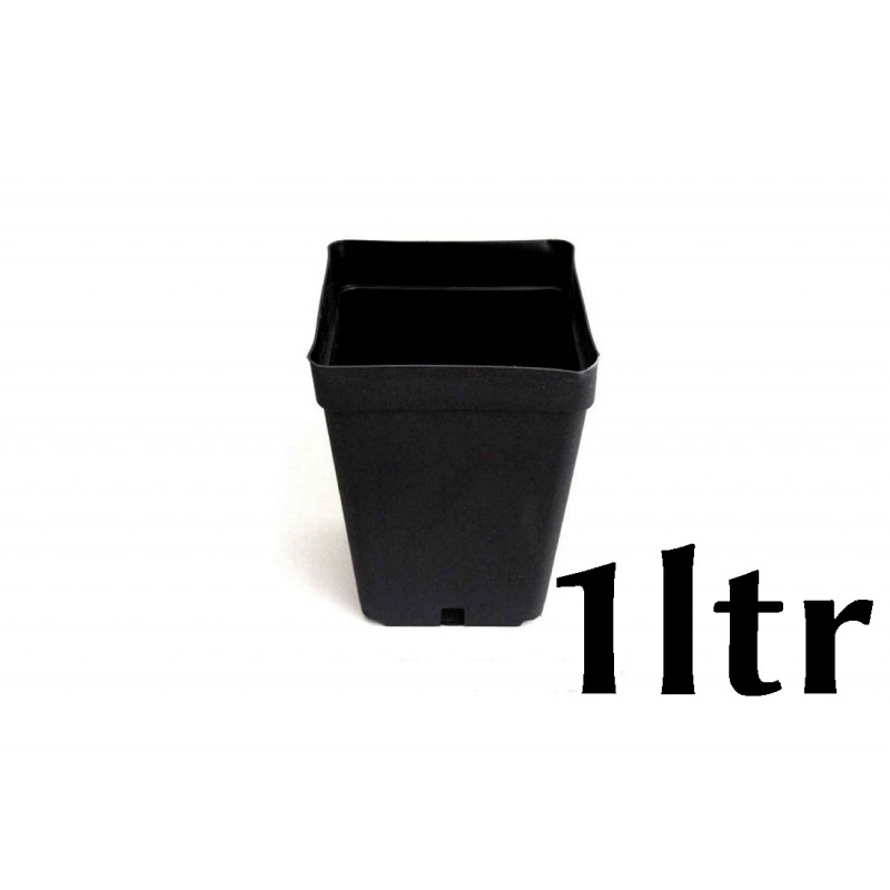 Pot Carré 1ltr (11x11xh12cm)