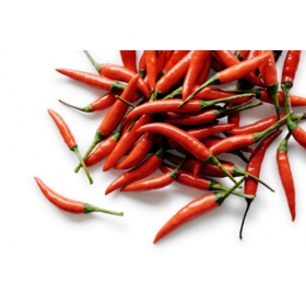 Thai Chili pepper Rawit