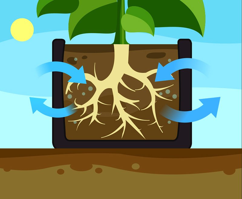 bagpot soil respiration.jpg